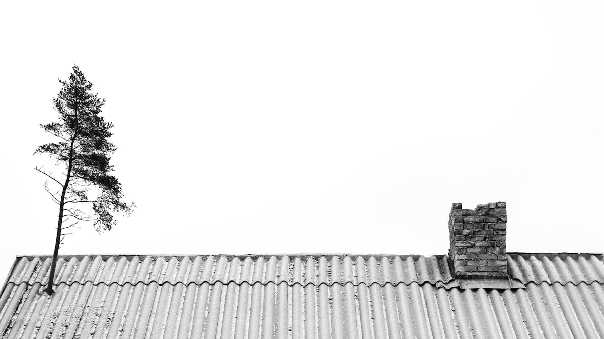 An artistic black and white image of a roof with a chimney and a tree, showcasing minimalist architecture.
